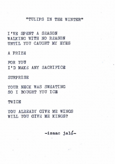 tulips in the winter